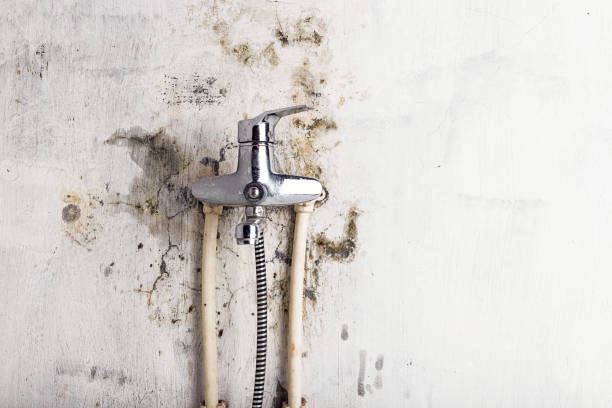 Best Water Damage Restoration  in Muscatine, IA