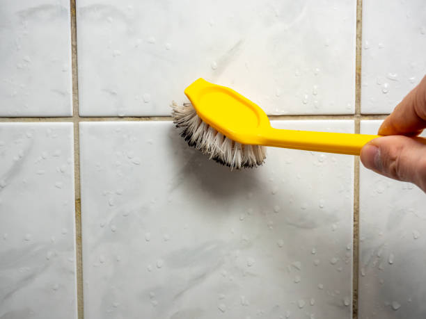 Best Mold Testing  in Muscatine, IA