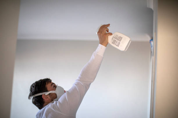 Best Attic Mold Removal  in Muscatine, IA
