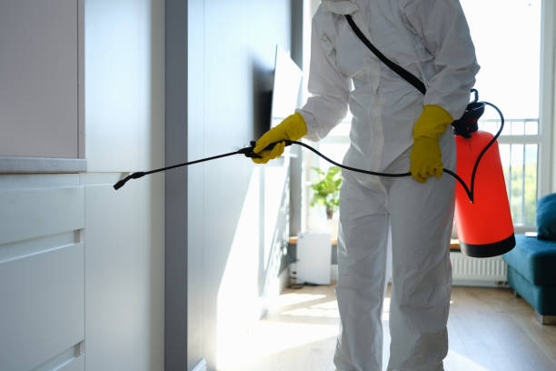 Best Toxic Mold Removal  in Muscatine, IA