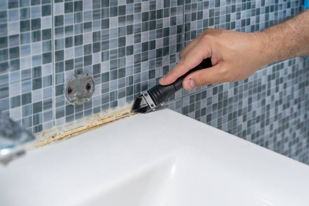 Best Best Mold Removal Companies  in Muscatine, IA