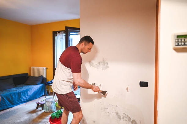 Best Residential Mold Removal  in Muscatine, IA